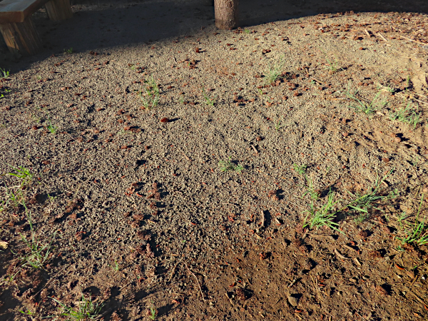 Gravel stolen from work site