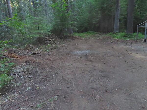 Clearing the National Forest for RV parking