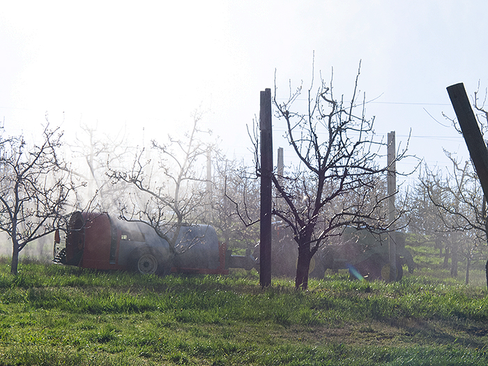 Agricultural crop spraying